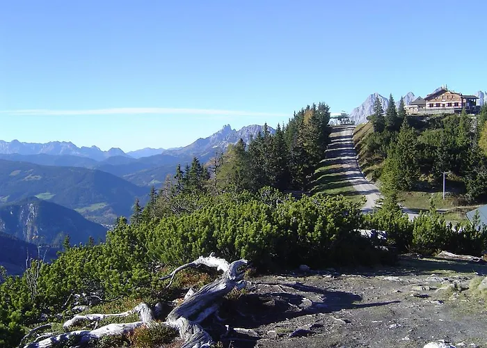 恩特尔格拉德尼尔宾馆 木屋