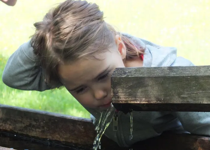 木屋 恩特尔格拉德尼尔宾馆