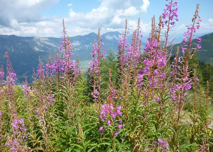 木屋 恩特尔格拉德尼尔宾馆 斯拉德明