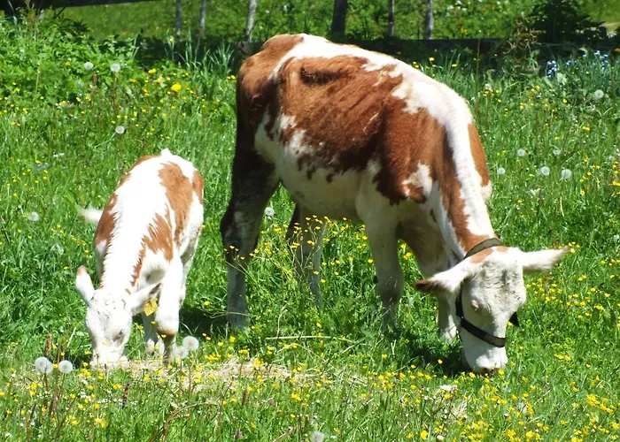 Untergladner Chalet *